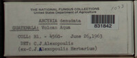 Arcyria denudata image